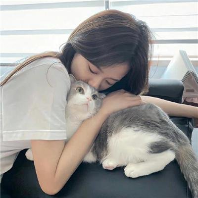 斯特莱克探案集第四季